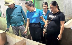 Cơ hội khởi nghiệp nằm ngay trong những thứ bình dị chị em đang có