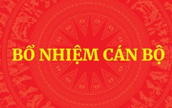 Thủ tướng điều động, bổ nhiệm nhân sự 4 bộ, cơ quan