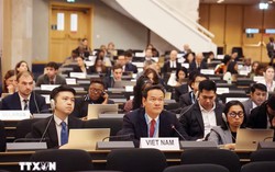 Việt Nam kêu gọi tăng cường hiệu quả hoạt động của Hội đồng Nhân quyền