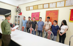 Khởi tố 7 đối tượng lừa đảo qua livestream bán xô cát đãi vàng
