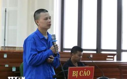 Tử hình kẻ bắn chết tài xế taxi, sát hại mẹ vợ ở Quảng Trị