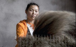 Bên trong công xưởng “vàng đen” ở Trung Quốc