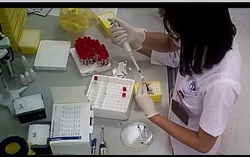 TS y khoa phân tích sai lầm chết người trong vụ bớt xén vật tư y tế ở Bệnh viện Xanh Pôn