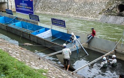 UBND Hà Nội: JVE và JEBO đã phát tán thông tin sai sự thật; có động cơ, mục đích không bình thường