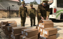 Phát hiện gần 15 tấn nội tạng động vật hôi thối và thịt lợn không có hóa đơn chứng từ