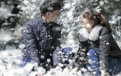 Giới trẻ hào hứng “sống ảo” trong khu vườn châu Âu tuyết trắng giữa Ba Vì