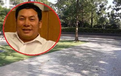 Vụ cháu bé bị đánh ở Ciputra: "Cần khởi tố ông Trần Đức Hà về hành vi Cố ý gây thương tích"