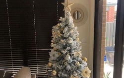 "Kiếm bộn" nhờ trang trí cây thông Noel