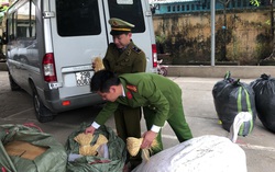 Tiêu hủy hơn 500kg thuốc bắc không rõ nguồn gốc