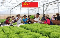 Phụ nữ cần khẳng định 'chỗ đứng', tham gia sản xuất hàng hóa theo chuỗi giá trị