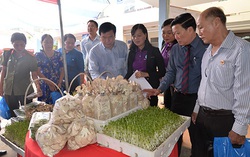 Tiền Giang: 3,6 tỷ đồng hỗ trợ phụ nữ khởi nghiệp