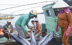 Chấm dứt khai thác hải sản trái phép ở vùng biển nước ngoài