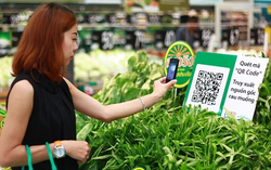 Hà Nội tiếp tục xiết chặt công tác an toàn thực phẩm trong năm 2020