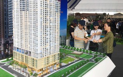 Nhiều sản phẩm BĐS và dịch vụ liên quan được giới thiệu tại Novaland Expo 2019