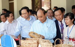 Nhà nước quan tâm, nông dân cũng phải tự đổi mới