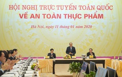 Hiện tượng “rau hai luống, lợn hai chuồng” đã giảm hẳn