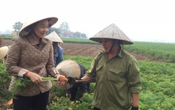 Tập hợp thu hút hội viên cần đảm bảo đa dạng, phù hợp và bền vững