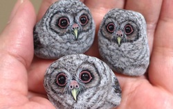 Nữ nghệ sĩ người Nhật biến đá thành thú cưng siêu dễ thương 