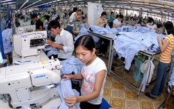 Một số chính sách mới của Chính phủ có hiệu lực từ tháng 1/2020