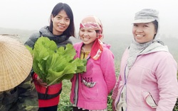 8x kết nối người trẻ về quê khởi nghiệp 