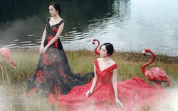 Lạc tới vườn xuân