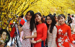 Áo dài rực rỡ dưới tán mai vàng bên câu đối đỏ ở Phố ông Đồ