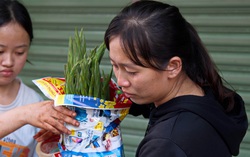 TPHCM: Hoa lay ơn nguyên bó biến thành rác, người buôn vừa bán hàng vừa rơi nước mắt