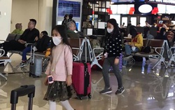 Người dân lùng sục mua khẩu trang ngày Tết vì virus corona