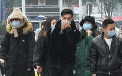 17 lưu học sinh Việt Nam ở Vũ Hán không nhiễm virus corona