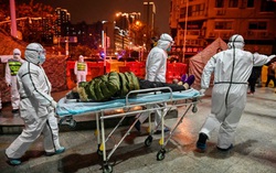 Virus Corona: 258 người chết, 11.302 ca nhiễm bệnh