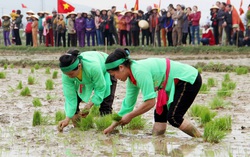 Chị em đua tài với máy cấy tại "Ngày hội xuống đồng"