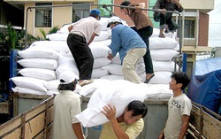 Xuất gạo dự trữ quốc gia cho tỉnh Ninh Thuận