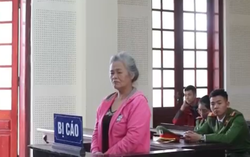Người đàn bà 9 lần hầu tòa “khóc nức” xin được giảm án để làm lại cuộc đời