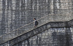 Tour du lịch khám phá những nơi làm bối cảnh phim "Ký sinh trùng"