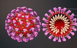 TS Y khoa: "Thông tin Mỹ tạo ra vaccine phòng Covid-19 trong 3 tiếng là không chính xác"