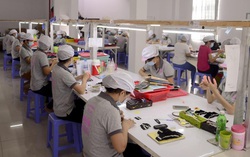 Sắp phá sản, lật ngược thế cờ nhờ thương mại điện tử