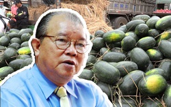 Nên dừng làm kinh tế kiểu chạy theo đám đông và xuất theo đường tiểu ngạch
