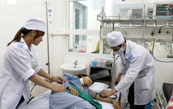 Tìm ra thủ phạm gây hàng chục vụ ngộ độc do bánh trôi ngô ở Hà Giang