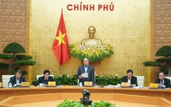 Chế biến nông sản để giải quyết tình trạng “được mùa rớt giá”