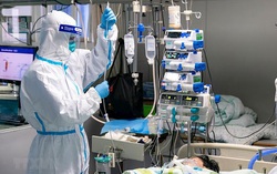 Các công ty dược đừng vì bản quyền mà hạn chế việc tiếp cận thuốc điều trị virus Corona