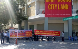 Bắt tạm giam tổng giám đốc công ty Bình Dương City Land lừa bán dự án ma