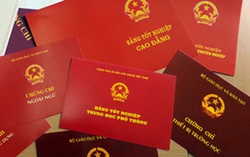 Cách chức nữ Hiệu trưởng trường mầm non sử dụng bằng giả