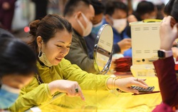 Sau ngày vía Thần Tài, giá vàng trong nước đồng loạt giảm tới hơn 500.000 đồng/lượng