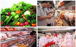 Thủ tướng Chính phủ: Phải bảo vệ quyền cơ bản của con người là được tiếp cận thực phẩm an toàn