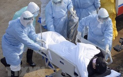 Cập nhật dịch corona trên thế giới: Gần 3.000 ca nhiễm mới, 562 người tử vong