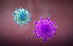 Việt Nam nuôi cấy, phân lập thành công virus corona