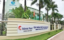Bị Mỹ điều tra bán phá giá tôm, Công ty Minh Phú nói gì?