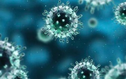 Virus cùng họ corona sống bên ngoài vật chủ đến 9 ngày chỉ là thông tin tham khảo