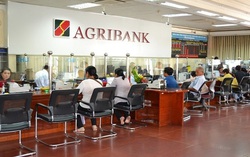 Trải nghiệm ngay tính năng “Tiền gửi trực tuyến” siêu tiện lợi trên ứng dụng Agribank E-Mobile Banking