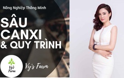 Kiếm tiền từ nuôi... ruồi